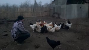 Чуть не остался без денег!,еду за покупками,жизнь в деревне