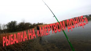 НЕ СОВСЕМ  ЧЕСТНАЯ РЫБАЛКА НА РЕКЕ "МЕРТВЫЙ ДОНЕЦ"