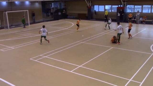 СШОР Сестрорецк — Золотые Фениксы (18.01.20) смотреть онлайн