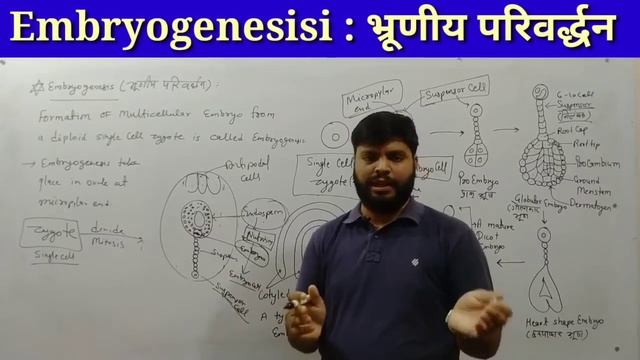 NCERT Chapter 02 смотреть онлайн