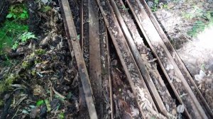 Вывозим найденный штабель рельс из леса .Нас трое в лесу не считая буханки 😁 #металлокоп