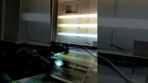 Отчёт по свету(использование светодиодных прожекторов) в аквариуме с растениями.