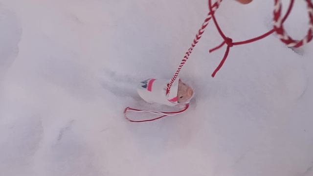 /Мини влог / гуляю со свинкой реборном 🫶 /Нюша / смотреть онлайн