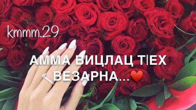 Догах везнаг виц ца ло ц1а.