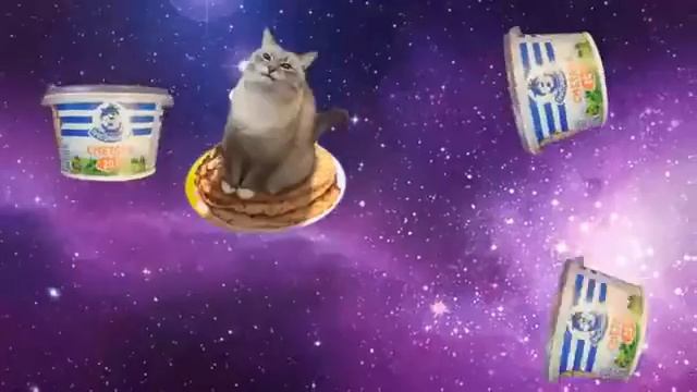 Кот, блины и сметана ;) смотреть онлайн