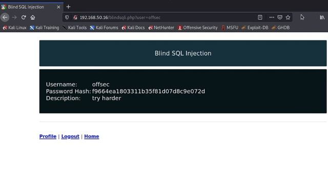 4.2.3. Blind SQL Injections смотреть онлайн