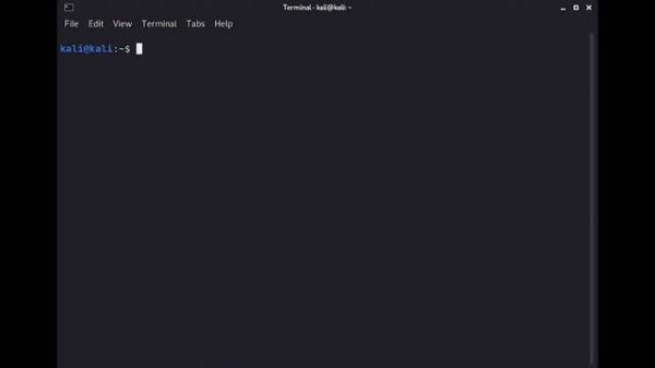 4.3.1. Manual Code Execution