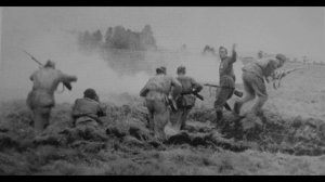 Новые песни о СВО