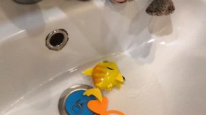 Басики моются ⭐✨