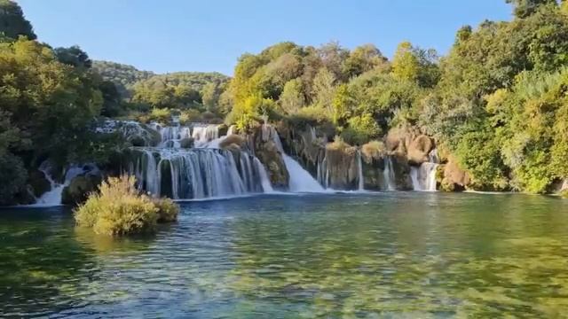 ПАПИЛЛОМЫ*Исцеление Звуком: биорезонансные частоты против вируса ВПЧ