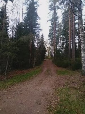 №43 Выравнивание общих вибрационных частот