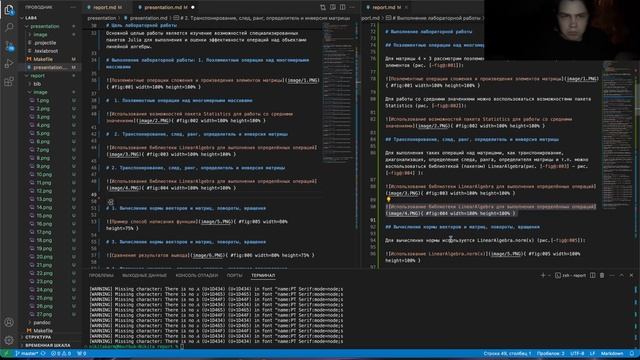 Презентация Лаб. Раб. №4 (СтатАнализ)
