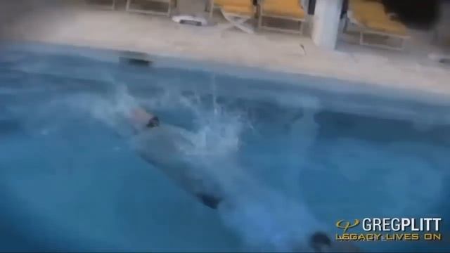 Грег Плитт - БЫТЬ ПОБЕДИТЕЛЕМ! смотреть онлайн