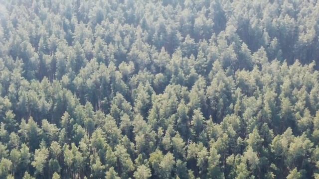 dji фото видео Mini 2 смотреть онлайн