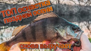 Топ оснастка поздней осени снова выручает | Как ловить окуня в ноябре | Рыбалка в конце осени