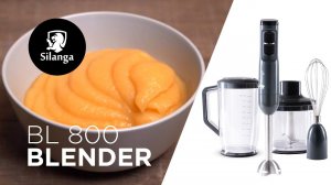 Как приготовить овощное пюре с блендером Silanga BL800 Universal