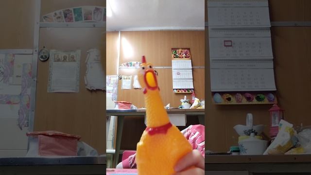 1000016216.mp4 смотреть онлайн