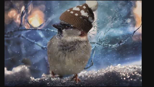 Воробей. Саша Черный. смотреть онлайн