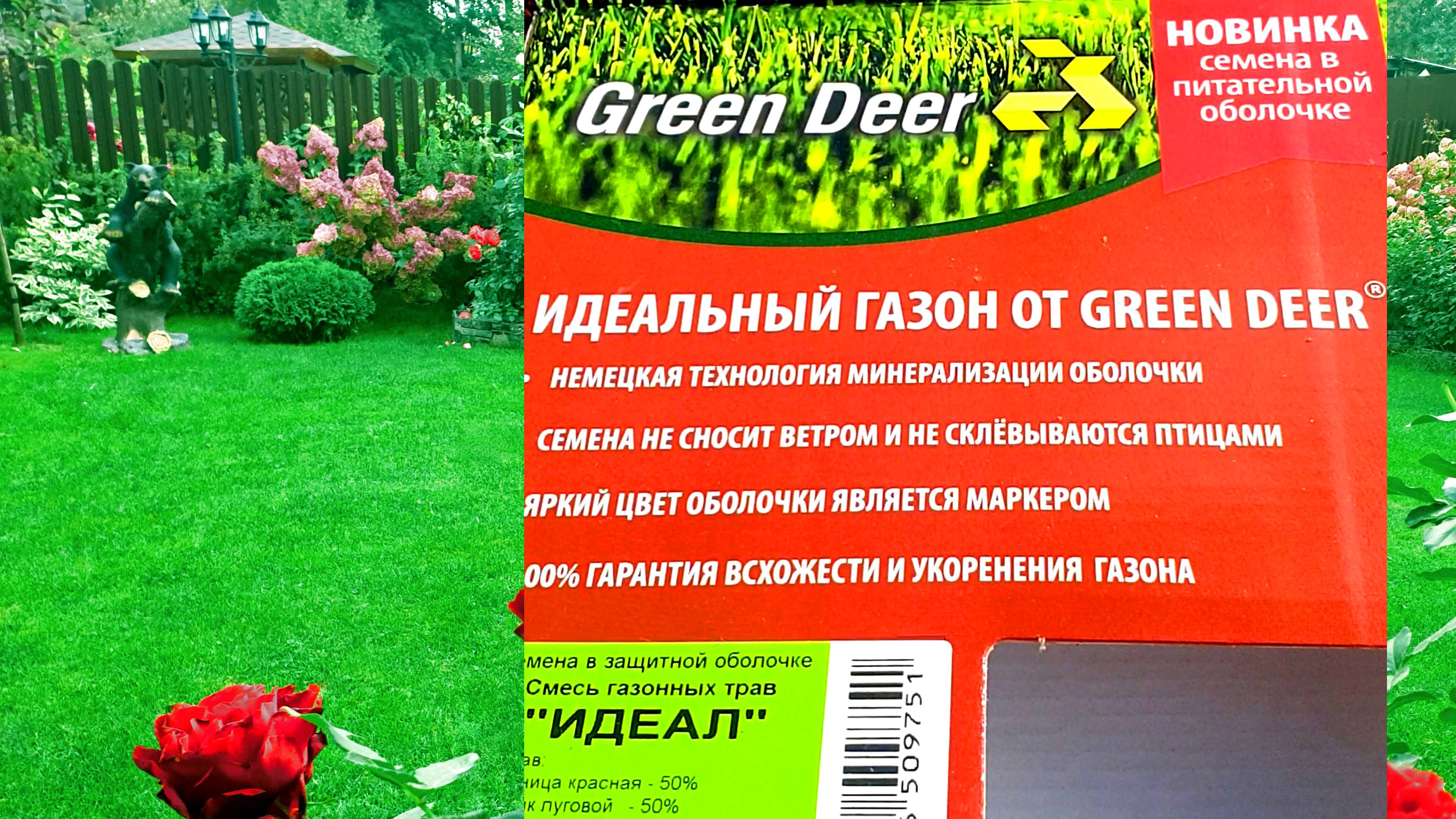 Результат посадки семян газона в питательной оболочке. смотреть онлайн
