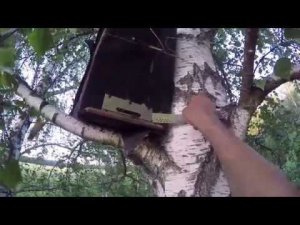 Установка и снятие ловушек, красивые места.