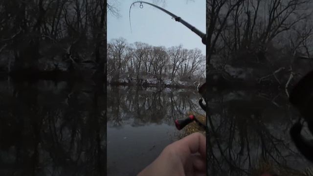 Жерех на джиг в начале зимы смотреть онлайн