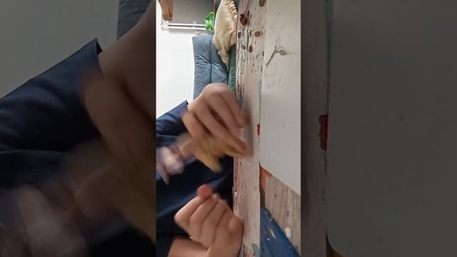 scene_output.mp4 смотреть онлайн
