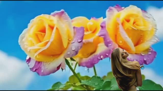 Хулио Иглесиас (Julio Iglesias)
Ностальжи (Nostalgie) смотреть онлайн