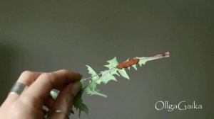 Лист одуванчика.