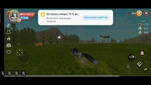 Баги WildCraft