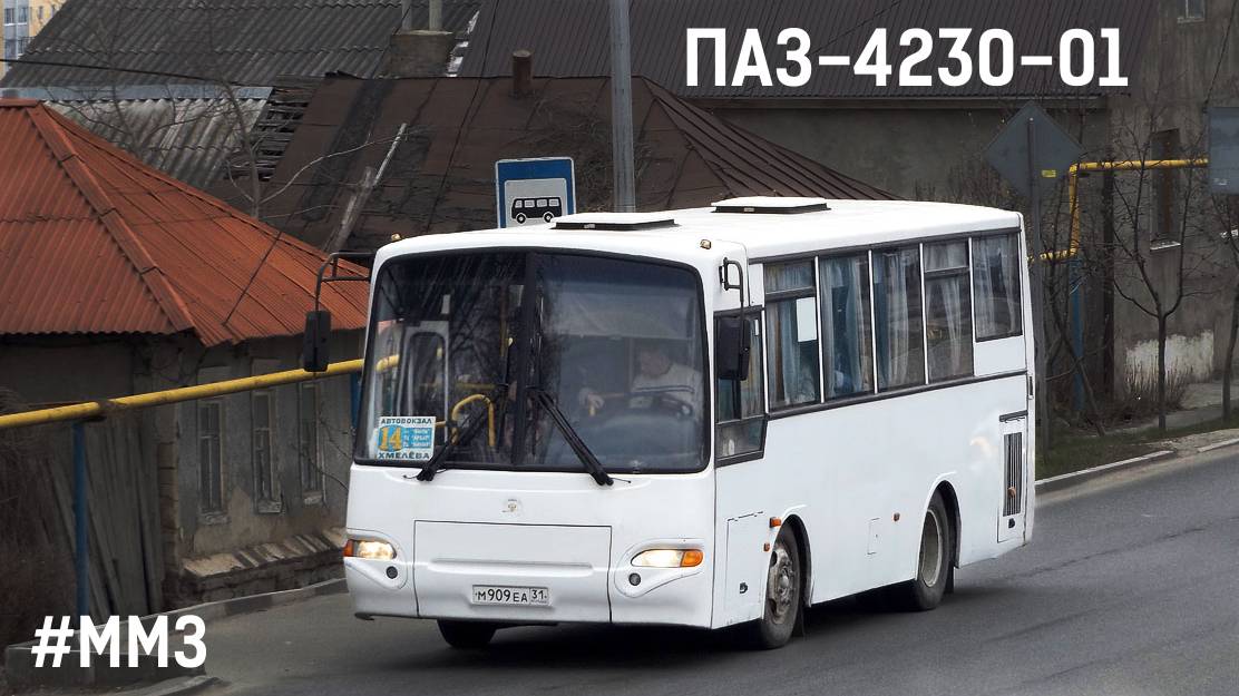ПАЗ-4230-01 (ММЗ Д-245.9 & СААЗ 3206.70)