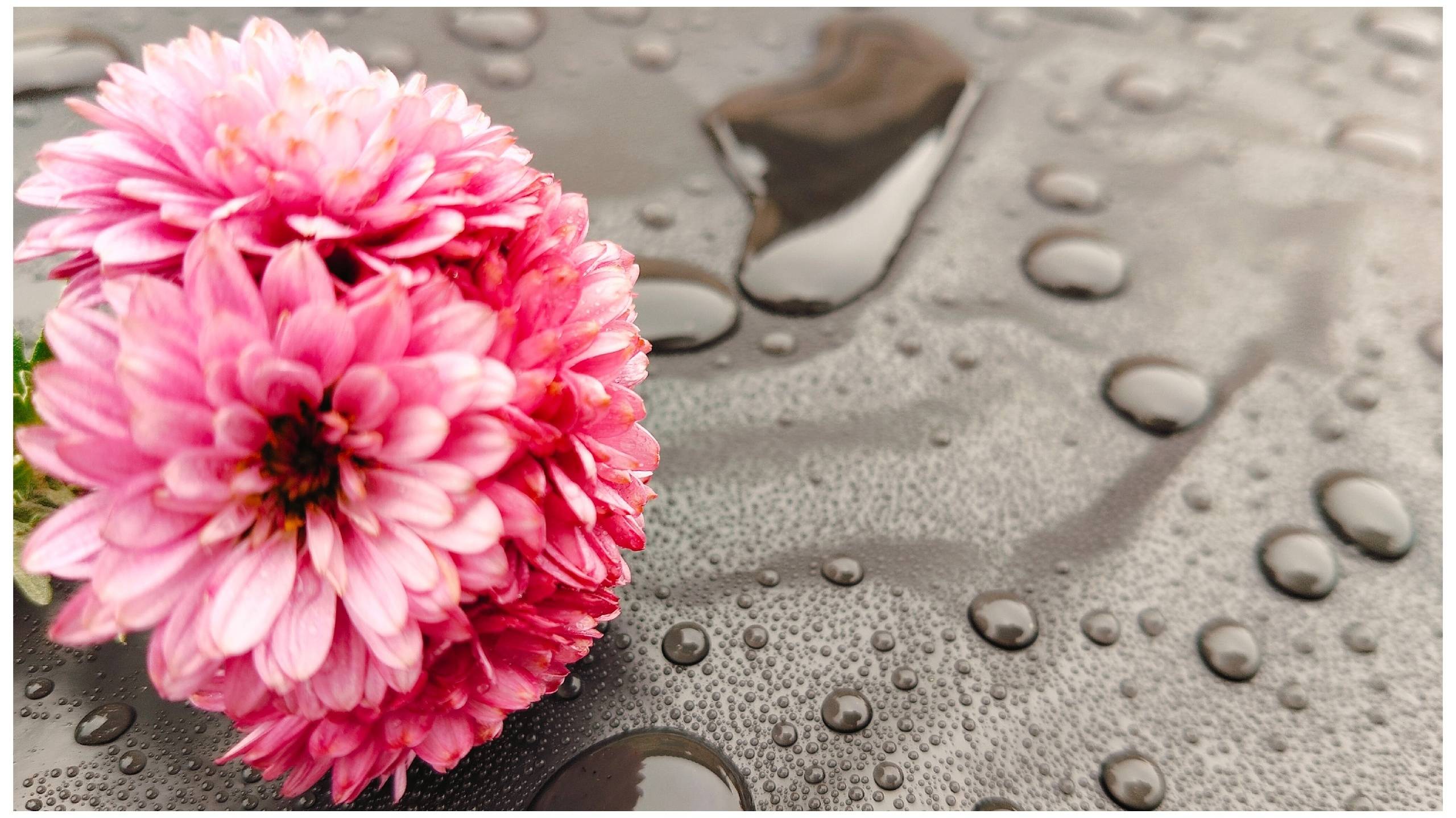 Зачем!?Кубань.Декабрь.Стройка.
Порадовали себя. смотреть онлайн