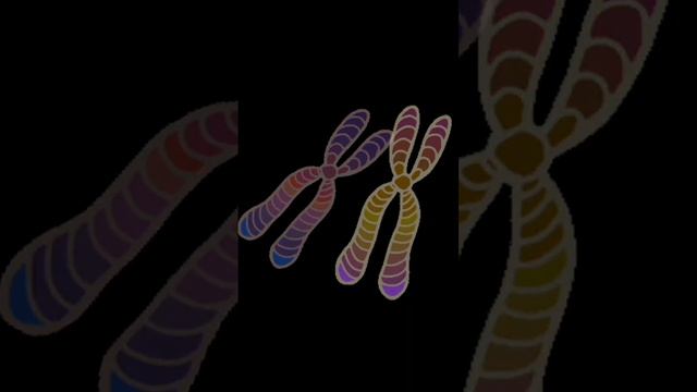 Culture expresse : le Crossing - Over🧬 смотреть онлайн