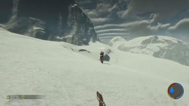 The Forest #19 - weiter im Winter Biom, Grafik Bugs und anderes ;-) coop смотреть онлайн