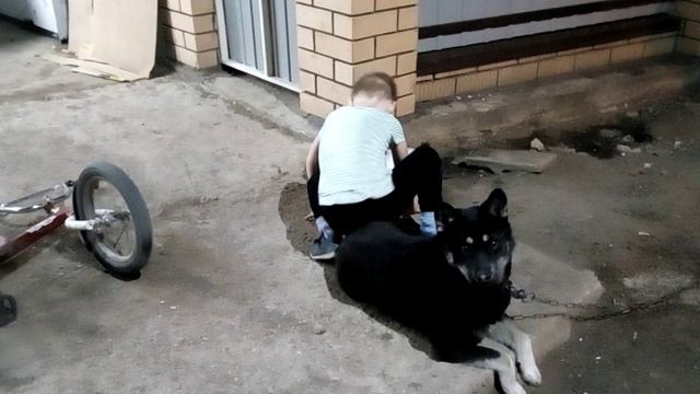 VID_20180519_000907 смотреть онлайн