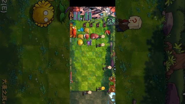 Pvz
