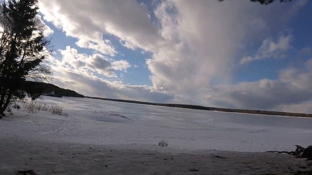 Конаковский бор Рыбхоз смотреть онлайн