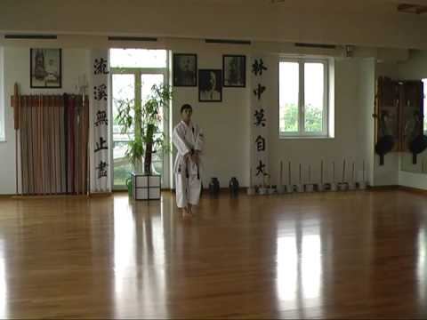 Seibukan No Seisan - Shorin-ryu Seibukan Karate, Okinawan Jinbukan Kobudo, Aikido RUSSIA