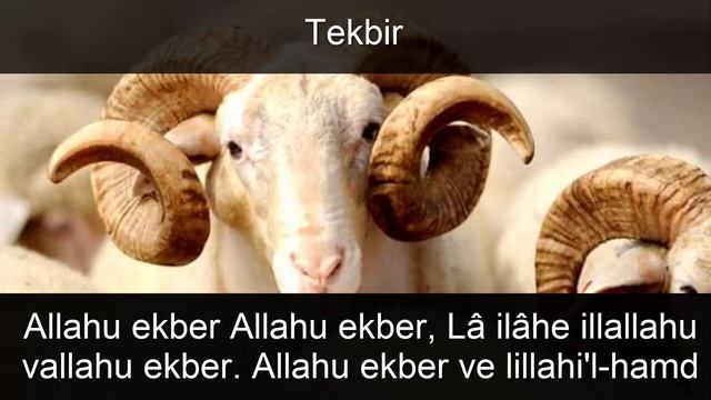 Kurban Duası   Kurban Kesiminde Sünnet Olan Dua   Kurban Kesim Duası