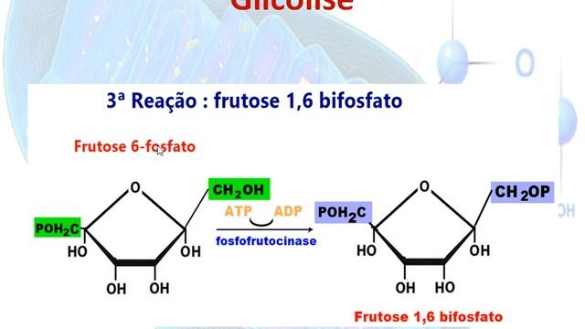 GLICOLISE смотреть онлайн