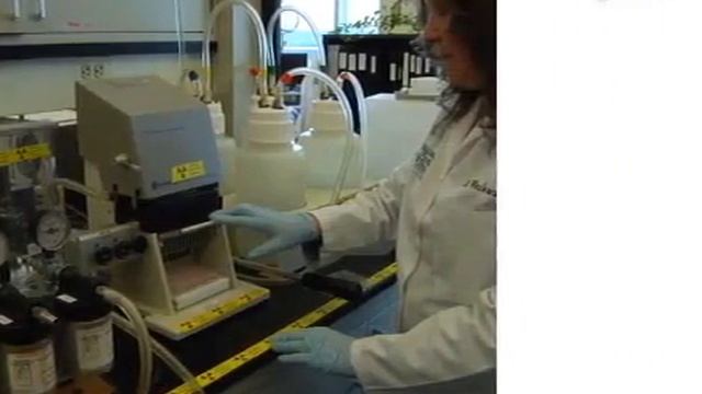 Human In Vitro Suppression: Recognizing Early State Of Immune Imbalance l Protocol Preview смотреть онлайн