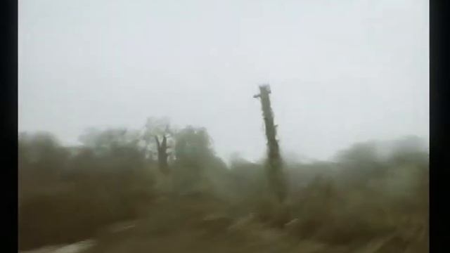 Zavet - Happy New Year