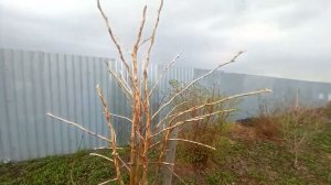 Первый заезд весной 2024.