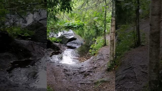 Водопады Ахвенкоски. КАРЕЛИЯ. АВГУСТ 2023. смотреть онлайн