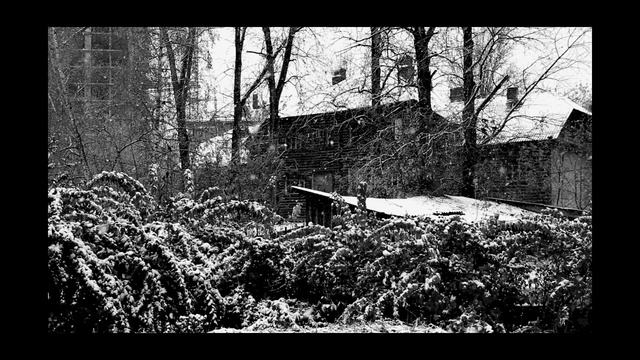 СОУЧАСТНИК ТИШИНЫ