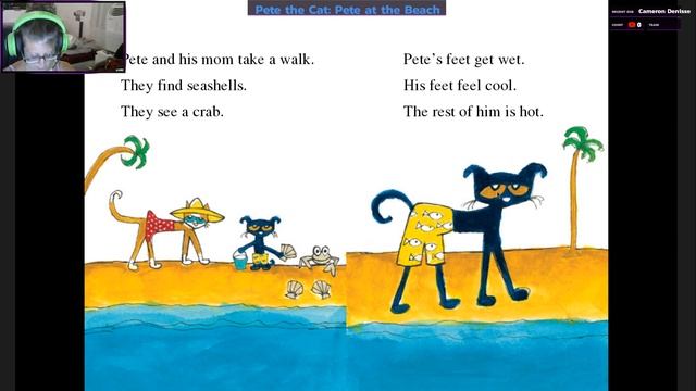 Pete The Cat - Pete At The Beach