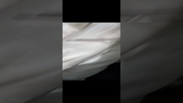 Цвет масла ВМПАВТО 5w-40 A3 B4 после 2000 км пробега. смотреть онлайн