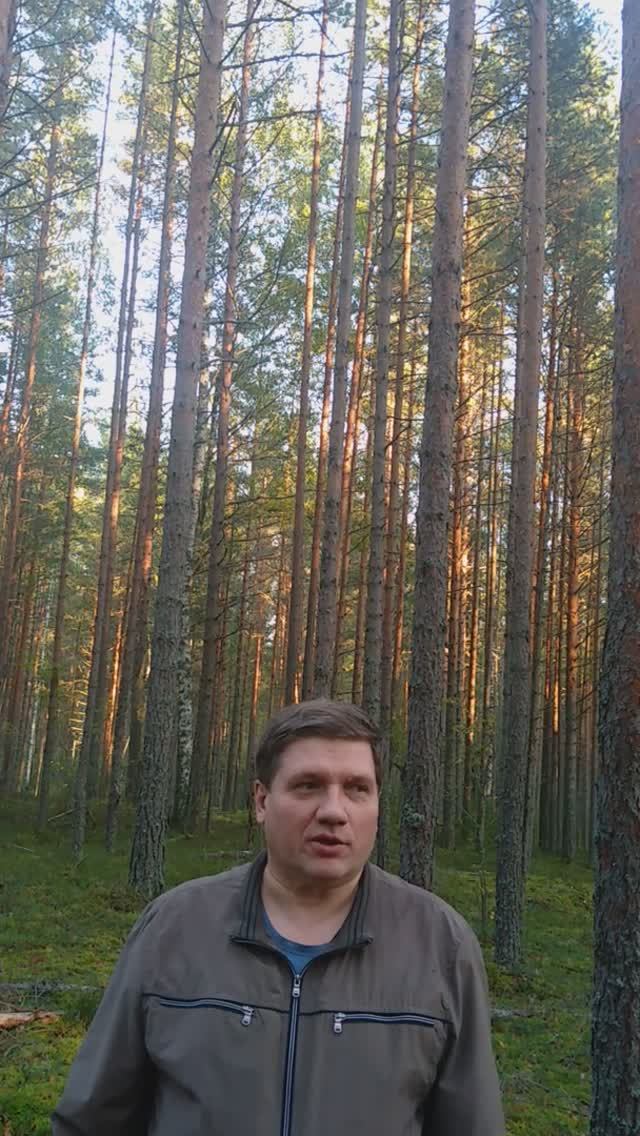 Зов Души смотреть онлайн