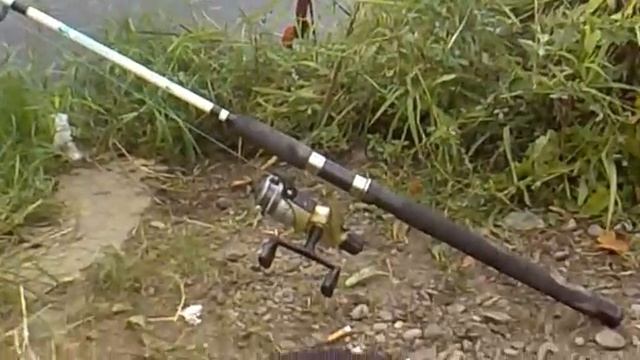 Рыбалка бурштин Fishing Ukraine секреты рыбалки