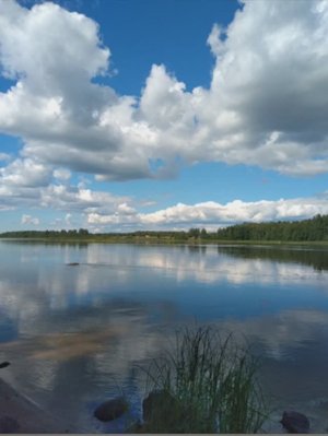 №42 Структурирование внутренней воды и наполнение её энергией