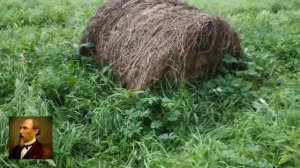 Некрасов Н. А. Есть женщины в русских селеньях. _отрывок из поэмы _Мороз красный нос__